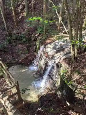 猿投神社　西の宮の自然