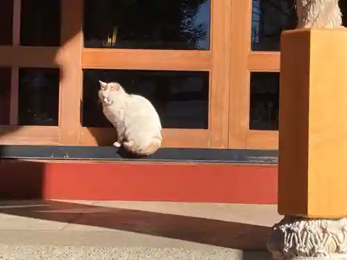 柏諏訪神社(千葉県)