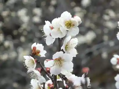 石山寺(滋賀県)