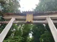 熊野本宮大社(和歌山県)