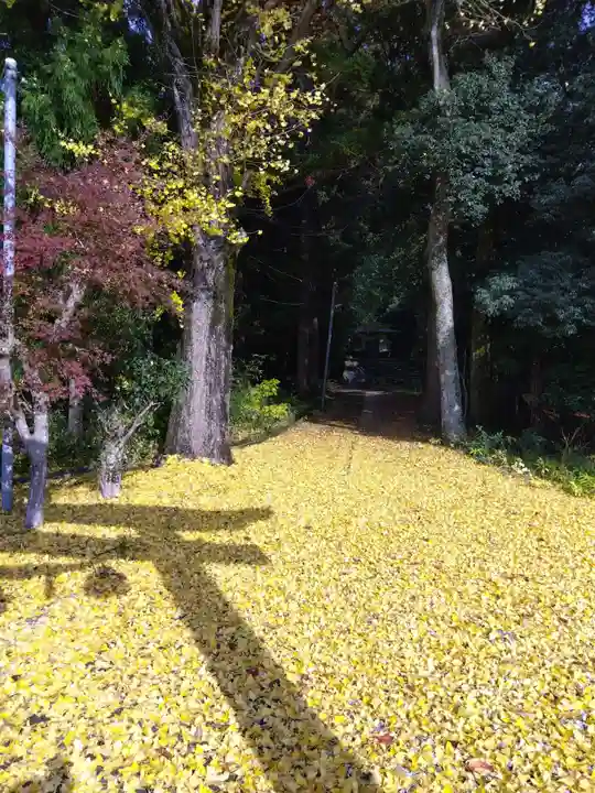 安楽寺釈迦堂(滋賀県)