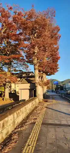 出羽国分寺薬師堂の周辺