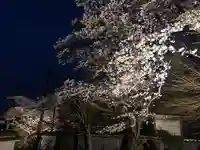 木舟山 順教寺(広島県)