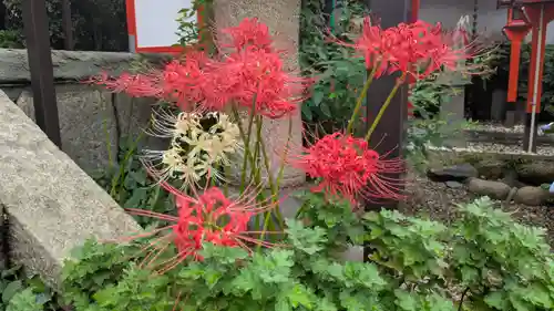 長宝寺(大阪府)
