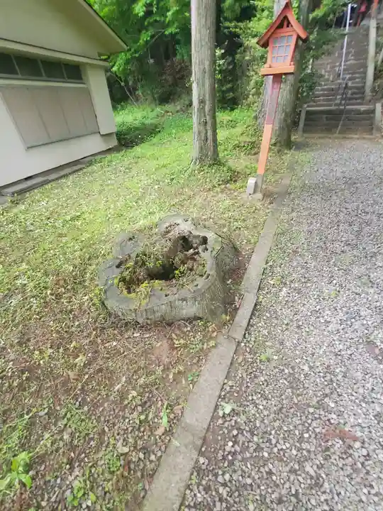 小藤神社(栃木県)