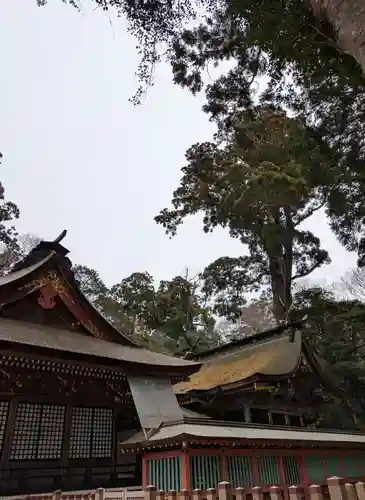 鹿島神宮(茨城県)