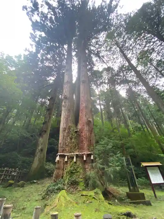 御岩神社(茨城県)