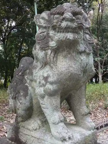 八幡社（柏井町）の狛犬