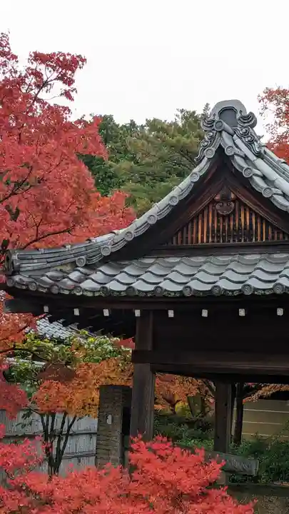 妙満寺(京都府)