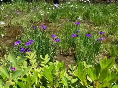 天台宗　長窪山　正覚寺の自然