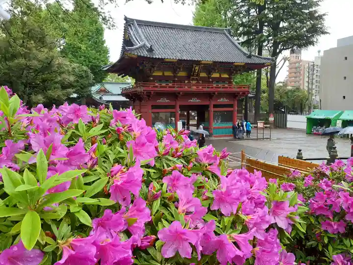根津神社の山門・神門