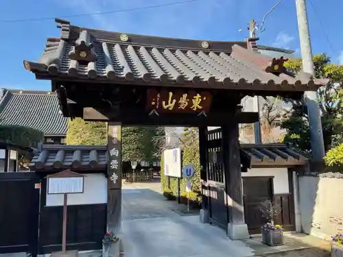 向雲寺の山門