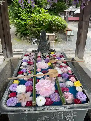 柳谷観音　楊谷寺(京都府)