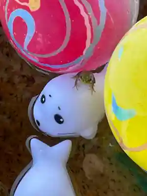 長野縣護國神社(長野県)