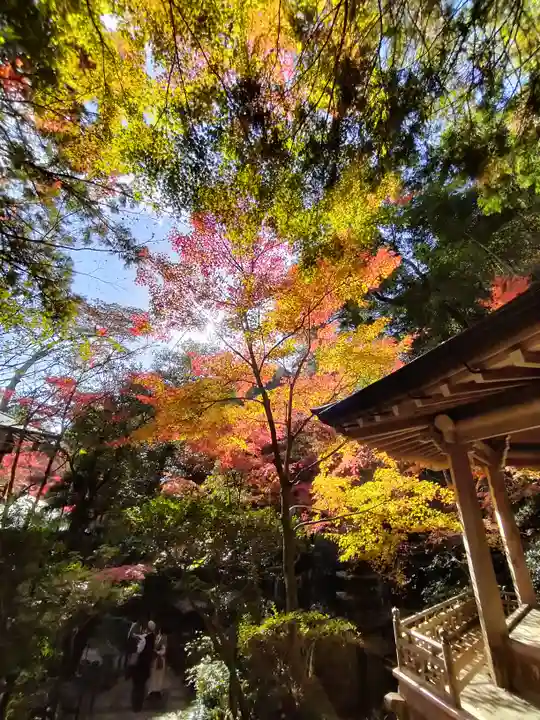 三瀧寺(広島県)