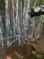 水神社(千葉県)