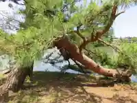 弁財天社の自然