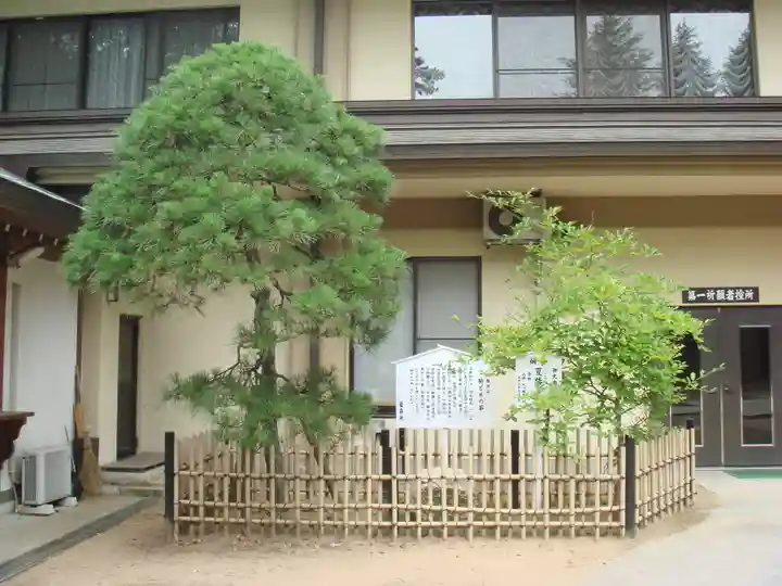 葛飾八幡宮の自然