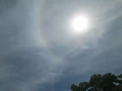 屋久島大社の自然