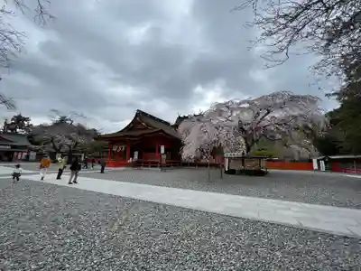 富士山本宮浅間大社(静岡県)