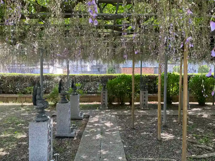 龍泉寺(足利厄除大師)(栃木県)