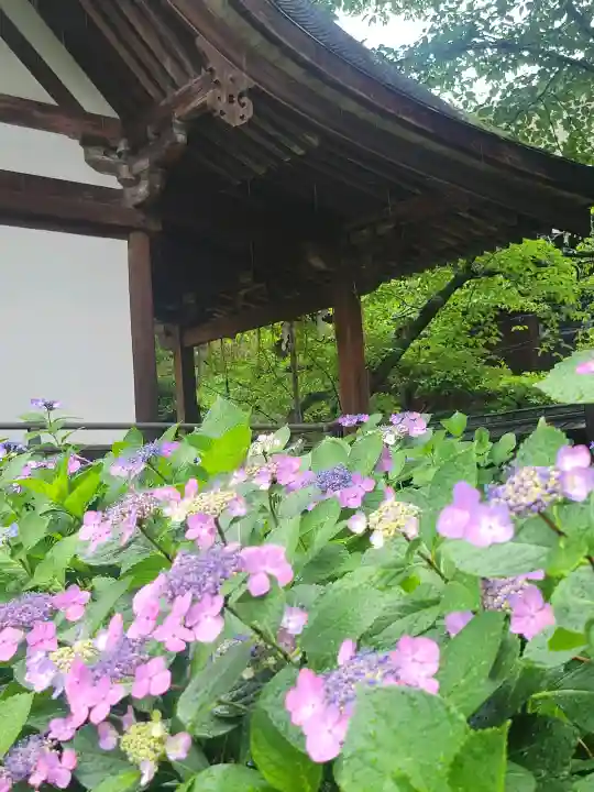 藤森神社(京都府)