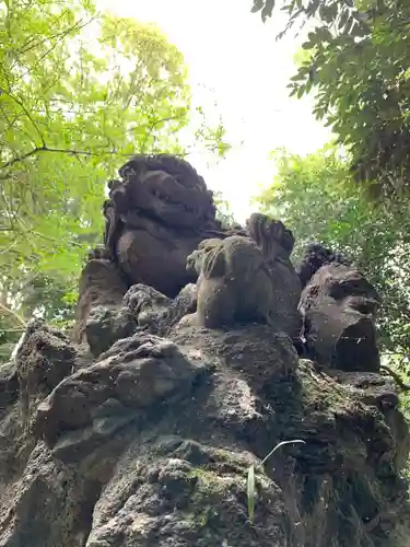 和泉神社の狛犬