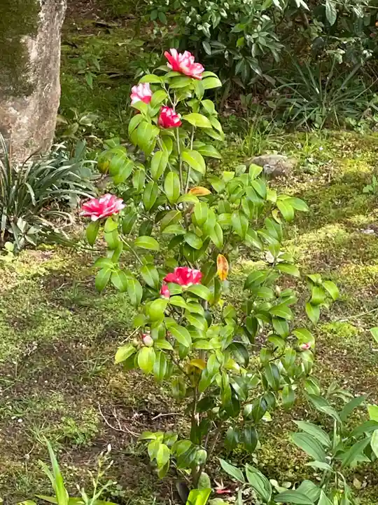 源光庵(京都府)