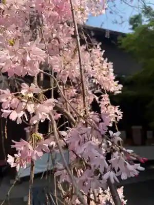 太道教本部の{uncategorized: "未分類", other: "その他", undefined: "問題あり", building: "その他建物", grave: "お墓", sacred_gate: "鳥居", guardian: "狛犬", statue: "像", buddha: "仏像", history: "歴史", nature: "自然", garden: "庭園", animal: "動物", pagoda: "塔", temizu: "手水舎", mountain_gate: "山門・神門", sanctuary: "本殿・本堂", subordinate: "末社・摂社", art: "芸術", scenery: "景色", jizo: "地蔵", ema: "絵馬", goshuin: "御朱印", omikuji: "おみくじ", items: "授与品その他", amulet: "お守り", goshuincho: "御朱印帳", eats: "食事", festival: "お祭り", votive_dance: "神楽", shichigosan: "七五三参", wedding: "結婚式", experience: "体験その他", initially: "初詣", around: "周辺", anti_infection: "感染症対策"}