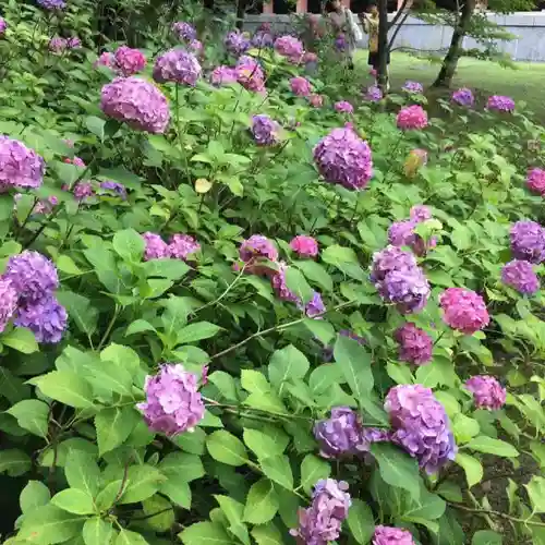 根来寺 智積院の自然