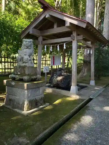 春日神社の狛犬