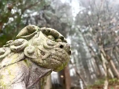 戸隠神社宝光社(長野県)