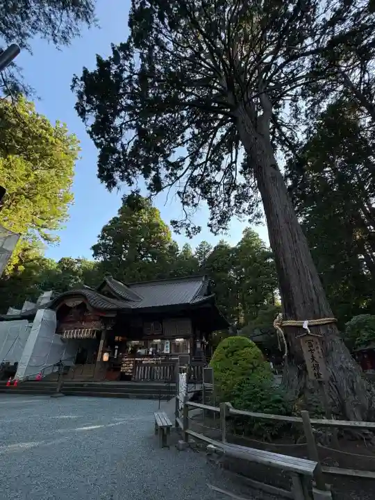 北口本宮冨士浅間神社(山梨県)