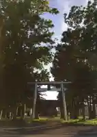 幌向神社の鳥居