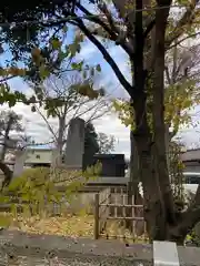 相模原氷川神社の景色