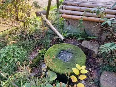 廣福寺(埼玉県)