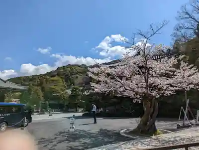 知恩院(京都府)