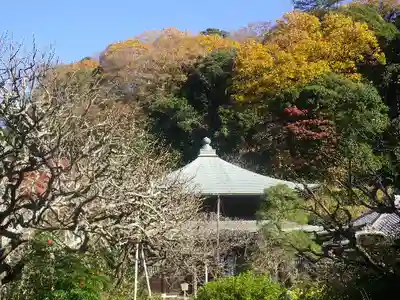 瑞泉寺のその他建物