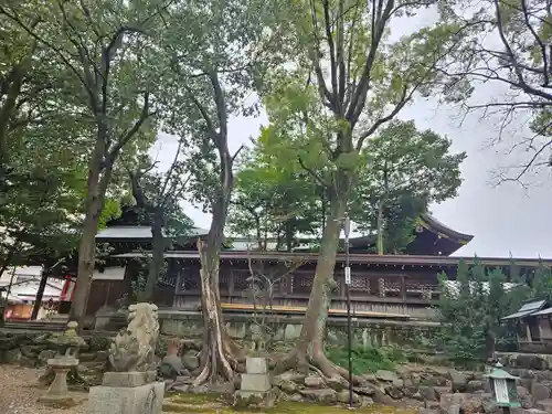 片山八幡神社(愛知県)