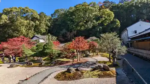 くろ谷 金戒光明寺(京都府)