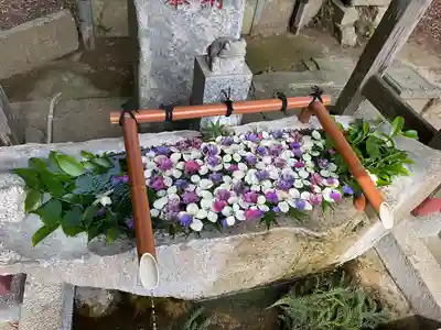 田間神社(千葉県)