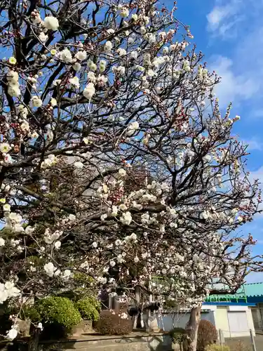 長泉寺(神奈川県)