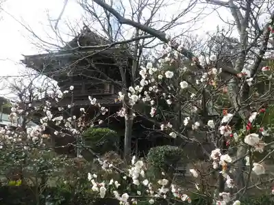 英勝寺のその他建物