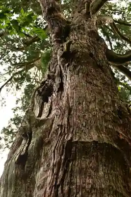 八幡宮(富山県)