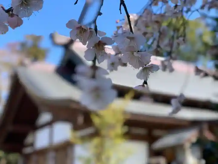 代田八幡神社の自然