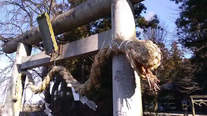 下野 星宮神社の鳥居