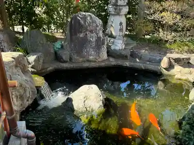 尾張猿田彦神社(愛知県)