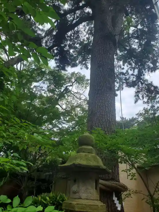 宗像神社のその他建物