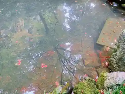 榮攝院（栄摂院）(京都府)