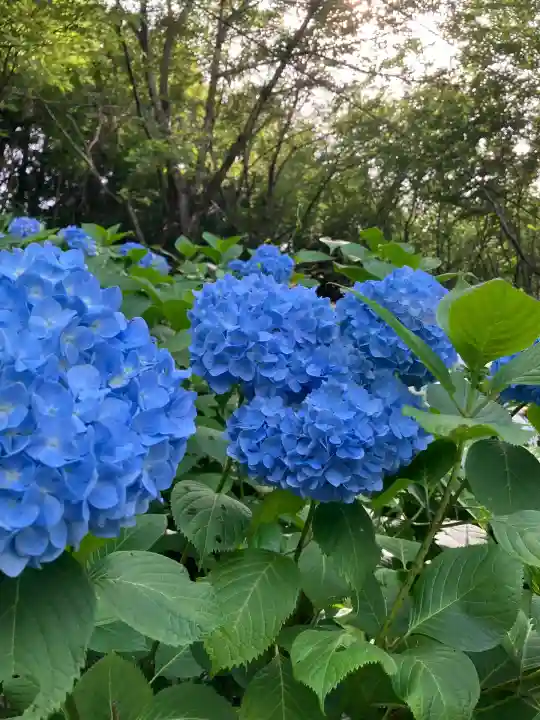 持寳院(多気山不動尊)(栃木県)